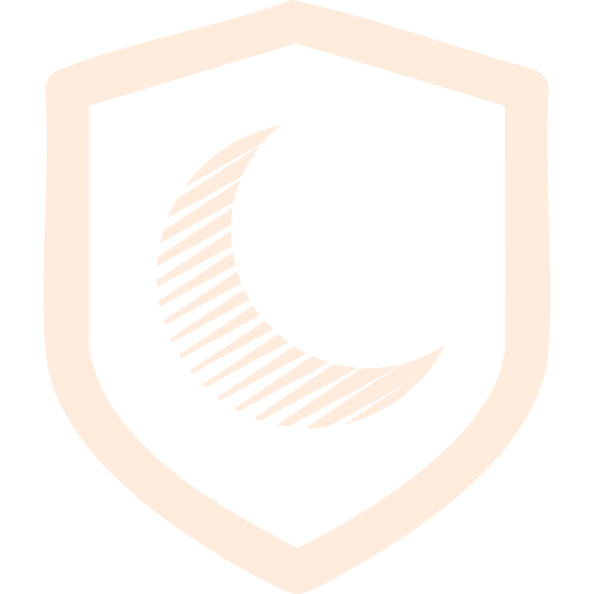 Shield emblem with a stylized crescent moon on a black background